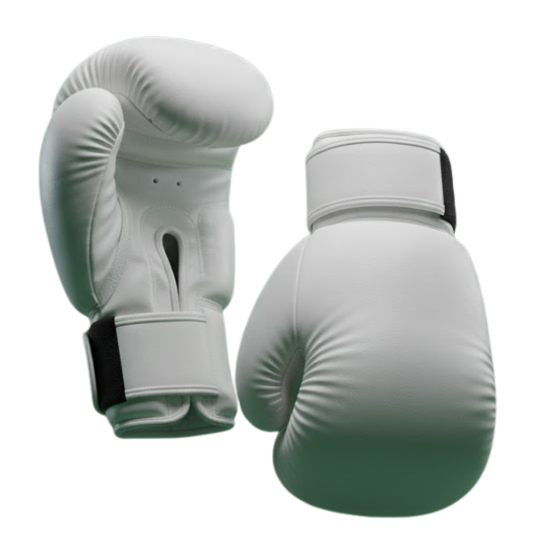 Luvas representando muay thai